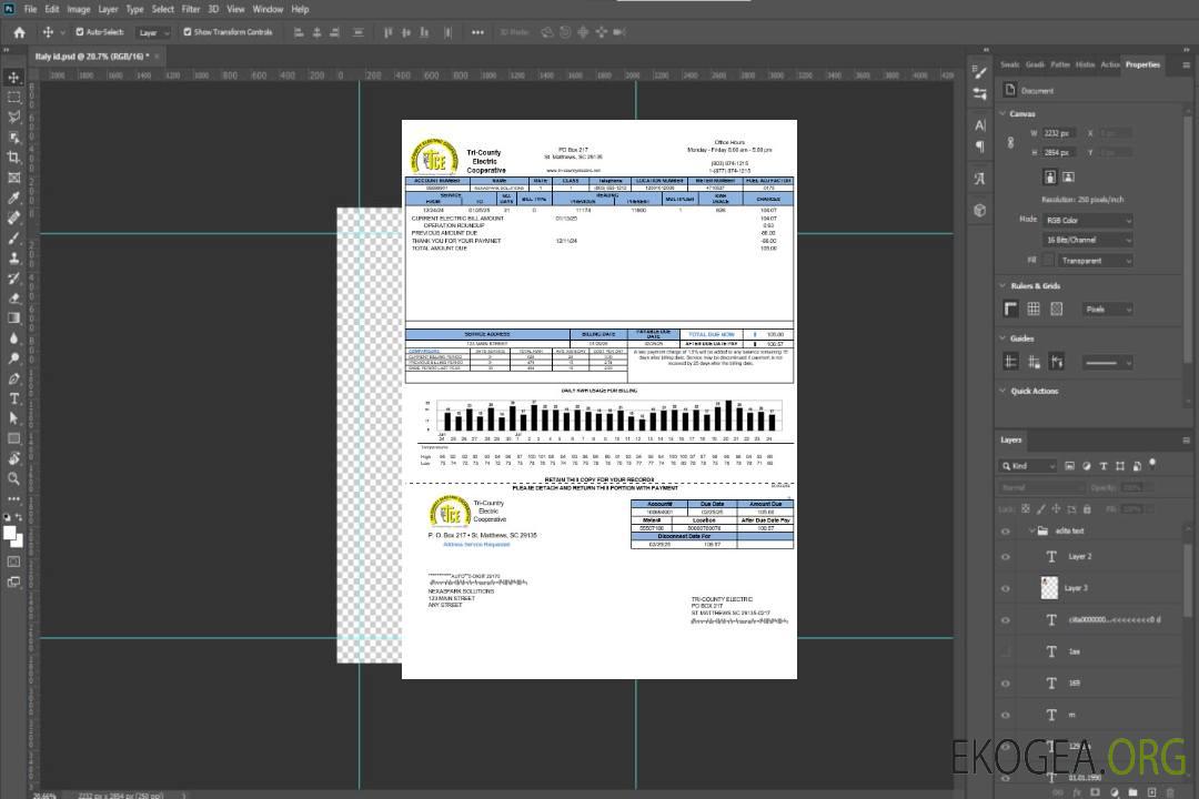 Modèle de facture de services publics de la Tri-County Electric Cooperative des États-Unis aux formats Word et PDF template Modèle de facture de services publics de la Tri-County Electric Cooperative des États-Unis aux formats Word et PDF template